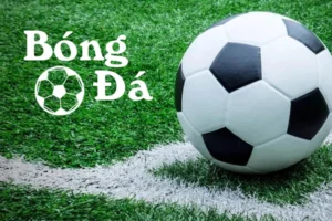 Quy Tắc Bóng Trong Cuộc Và Bóng Ngoài Cuộc Mà Bạn Cần Biết