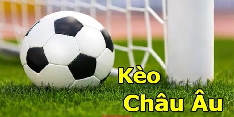 Hướng Dẫn Phương Pháp Soi Kèo Châu Âu Hiệu Quả Cho Nhà Đầu Tư