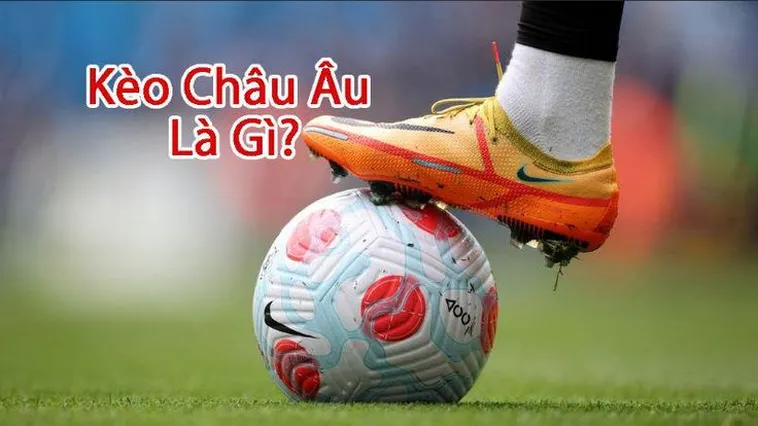 Hướng Dẫn Phương Pháp Soi Kèo Châu Âu Hiệu Quả Cho Nhà Đầu Tư