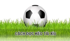 Hướng Dẫn Cách Phân Tích Và Soi Kèo Tài Xỉu Hiệp 1 Hiệu Quả