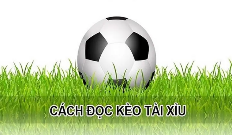Hướng Dẫn Cách Phân Tích Và Soi Kèo Tài Xỉu Hiệp 1 Hiệu Quả