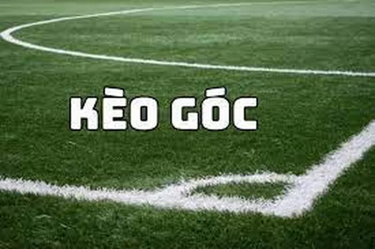 Cách Soi Kèo Phạt Góc Bóng Đá Chính Xác Từ Chuyên Gia Hàng Đầu