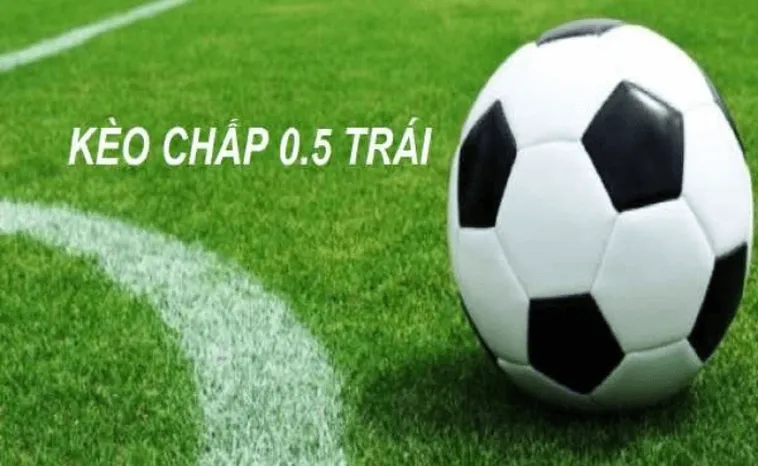Bí Quyết Đọc Kèo Chấp 0.5 Để Dự Đoán Kết Quả Chính Xác