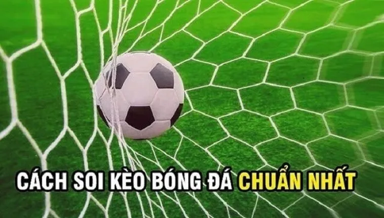 Hướng Dẫn Cách Phân Tích Kèo Rung Trong Bóng Đá Để Đạt Hiệu Quả